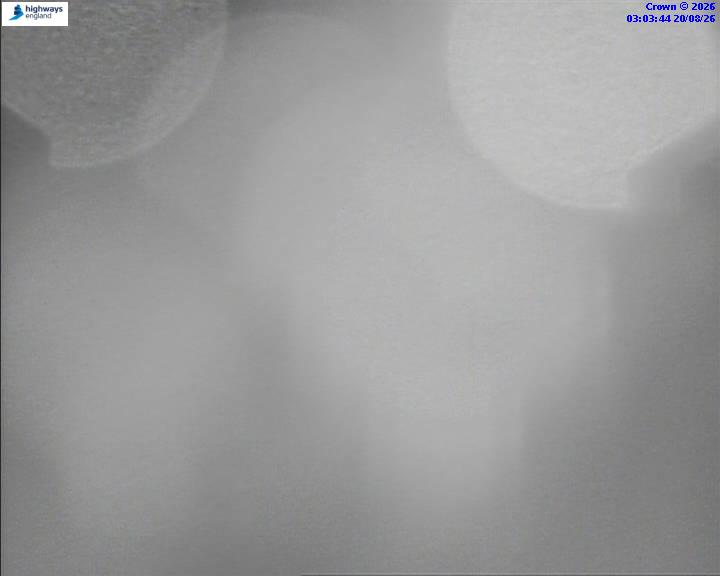 31434-1787195035.jpg