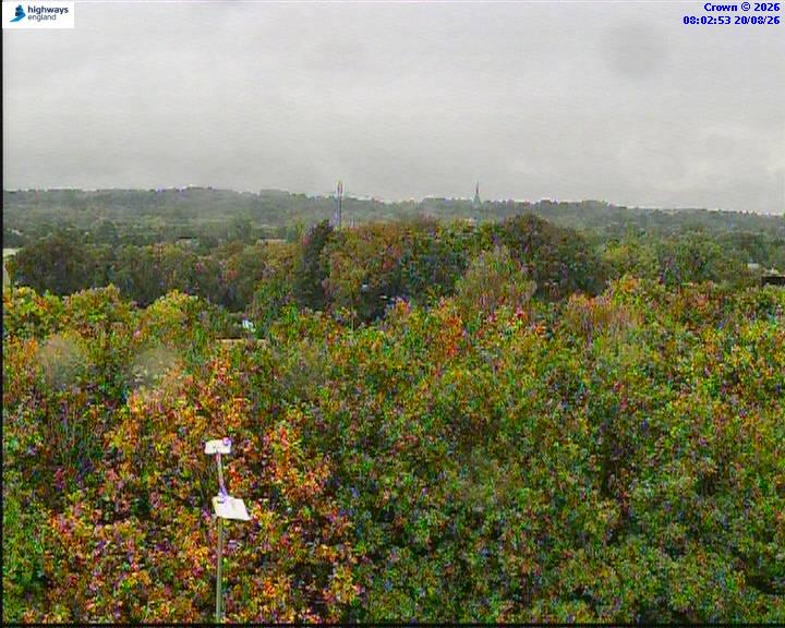 36003-1787212984.jpg