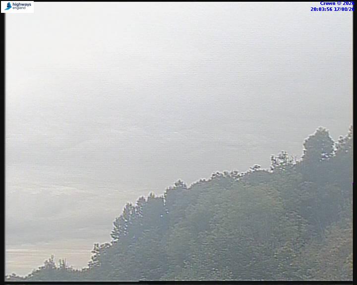 39284-1786997042.jpg