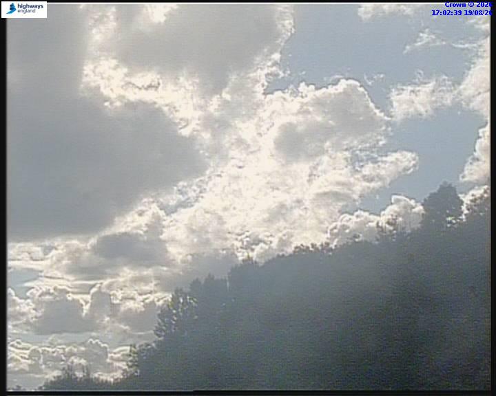 39284-1787158977.jpg