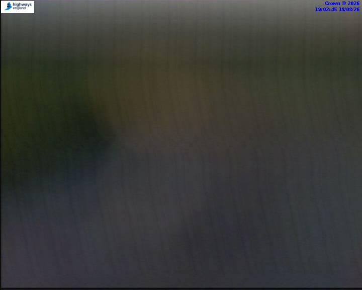 31565-1787166168.jpg