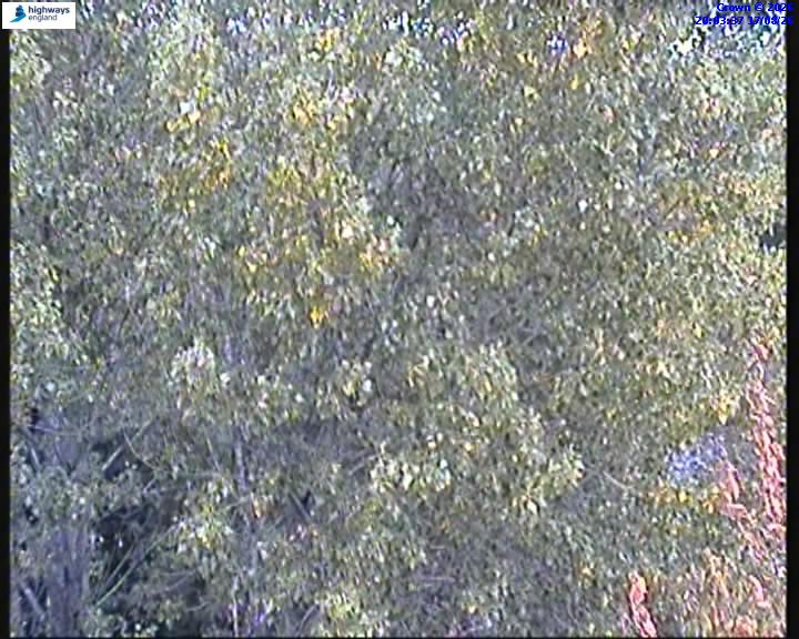 07050-1786997036.jpg
