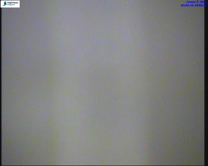 03810-1787195024.jpg