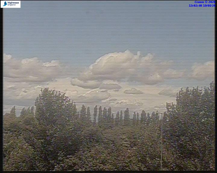 05960-1787144564.jpg
