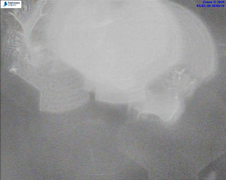 05989-1787187780.jpg