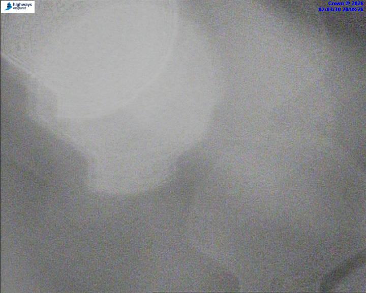 05989-1787191403.jpg