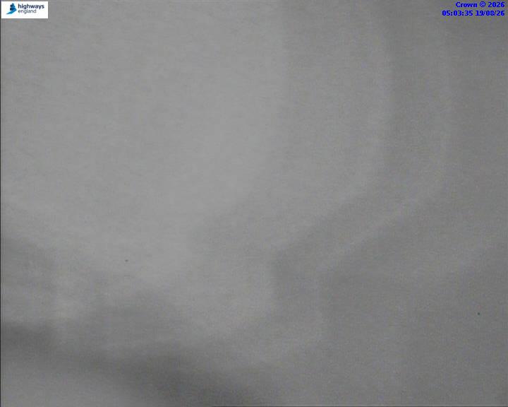05944-1787115851.jpg
