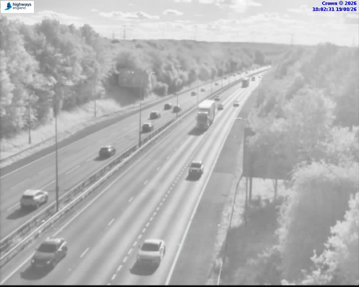 03137-1787162567.jpg