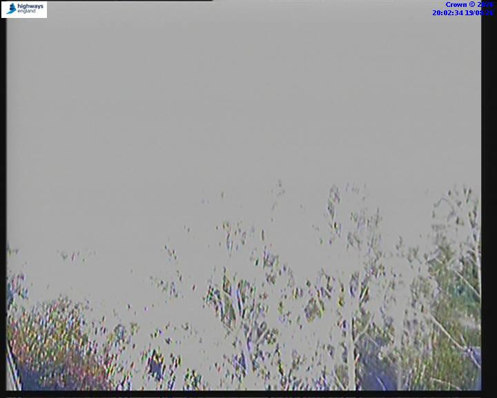 05789-1787169762.jpg