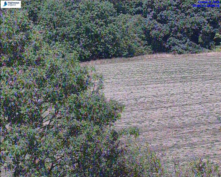 05660-1787238333.jpg
