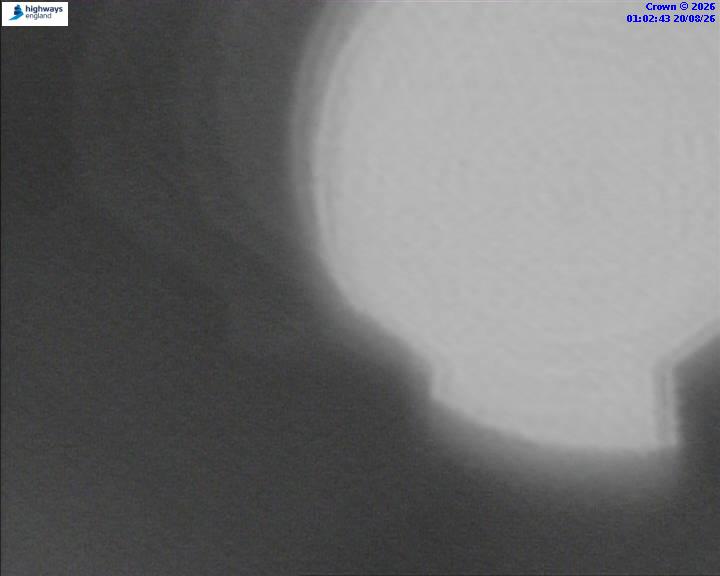 05610-1787187770.jpg
