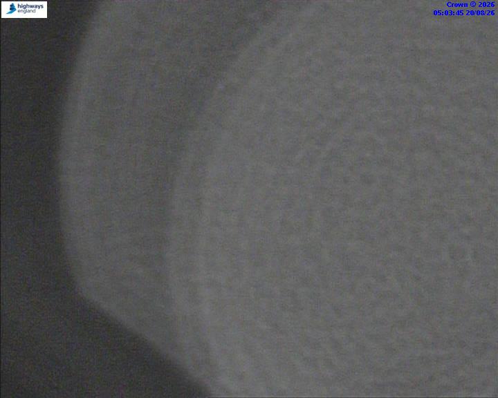 05600-1787202229.jpg