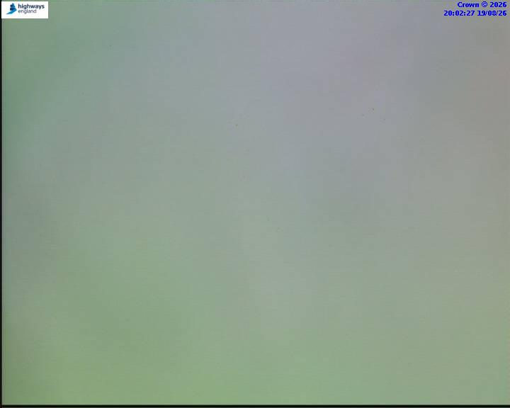 05596-1787169758.jpg