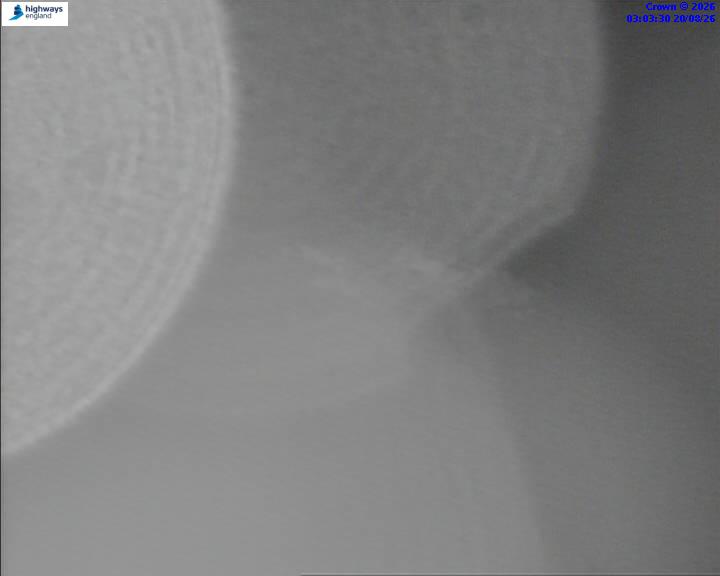 05592-1787195015.jpg