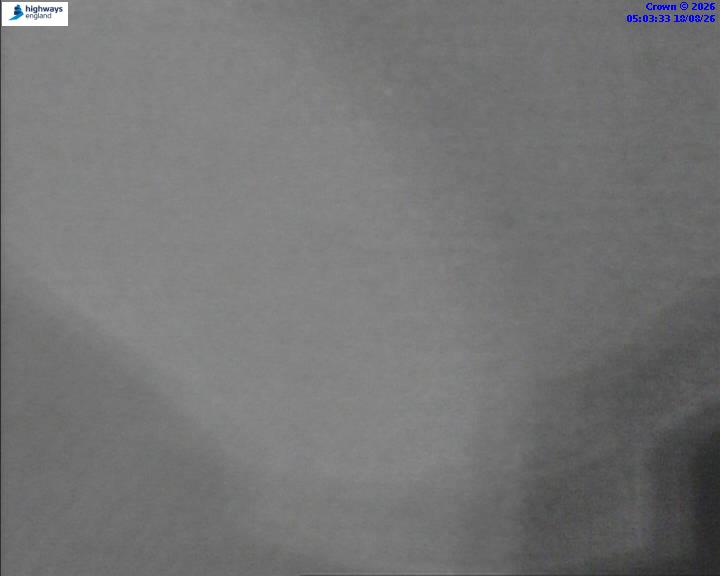 05515-1787029417.jpg