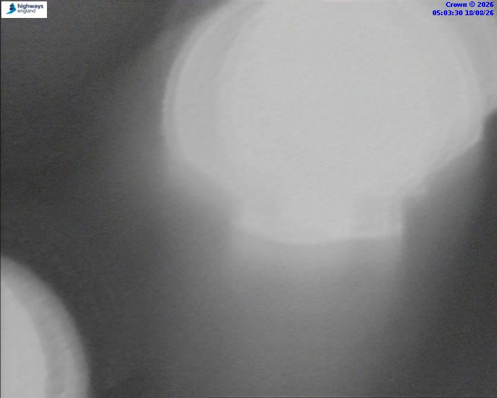 05532-1787029416.jpg