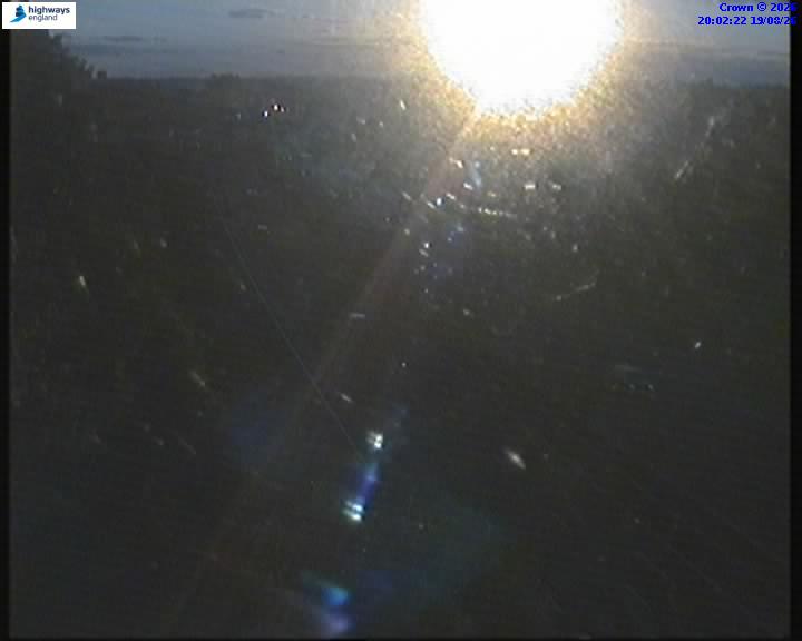05496-1787169756.jpg