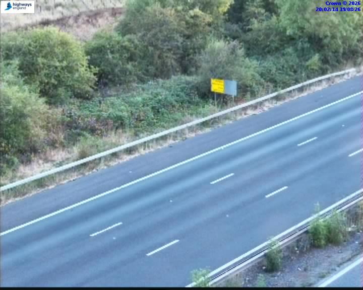 05490-1787169756.jpg