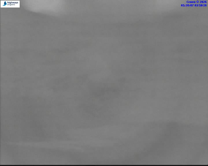 06740-1790991507.jpg