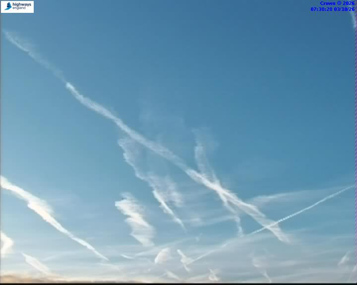 7:38 AM
