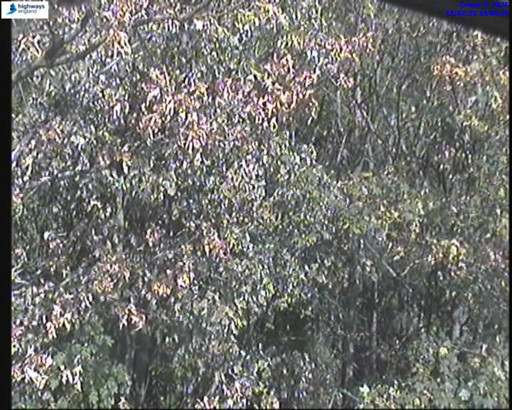 63426-1787137355.jpg