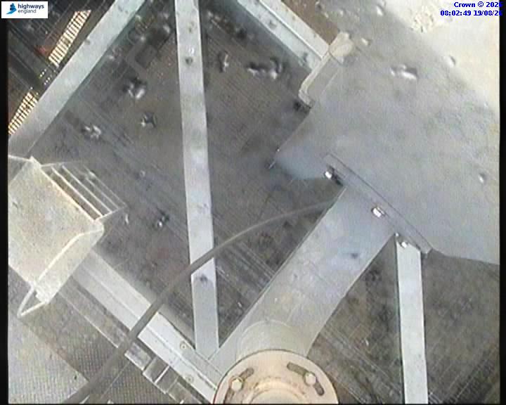 08252-1787126573.jpg