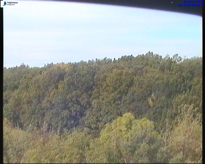 62702-1791113985.jpg
