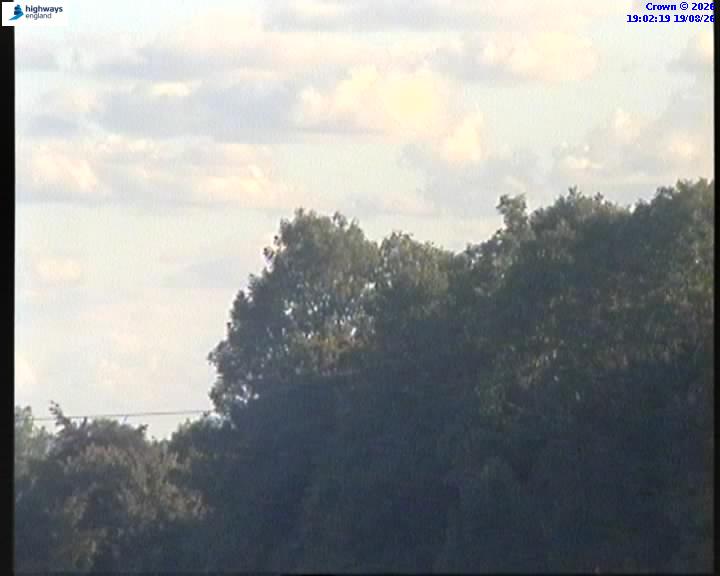 62724-1787166149.jpg