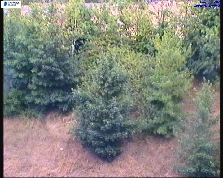 62796-1786996131.jpg