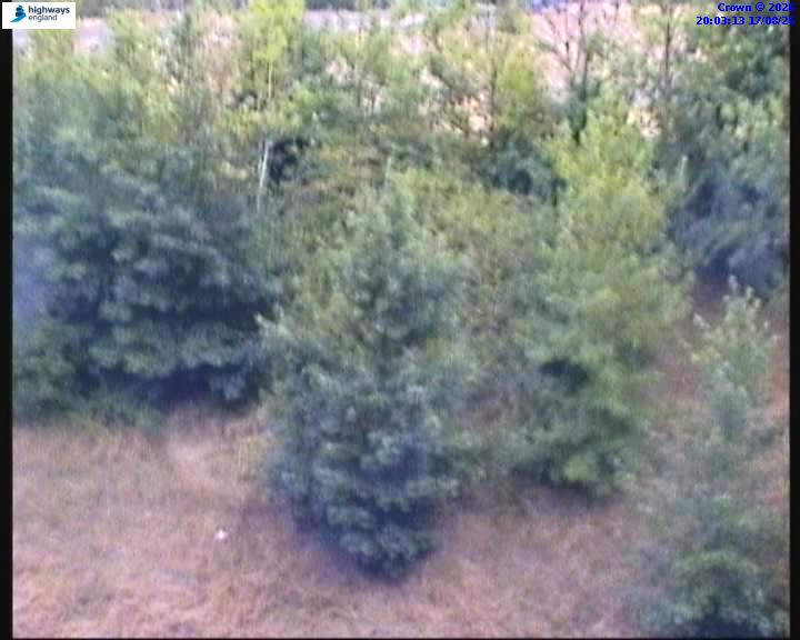 62796-1786997012.jpg