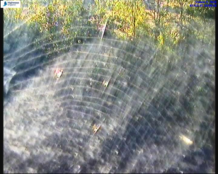62796-1787122949.jpg