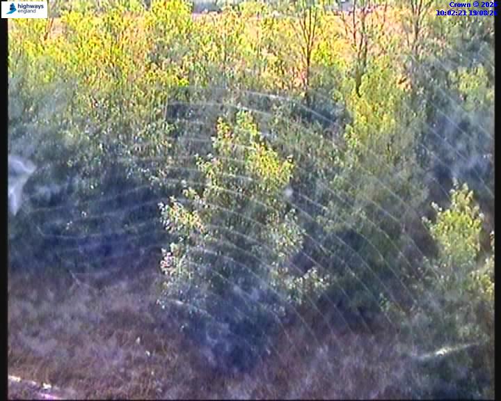 62796-1787133747.jpg