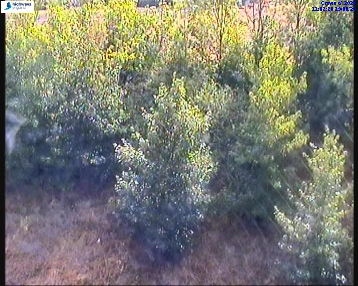 62796-1787137352.jpg