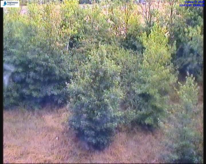 62796-1787140988.jpg