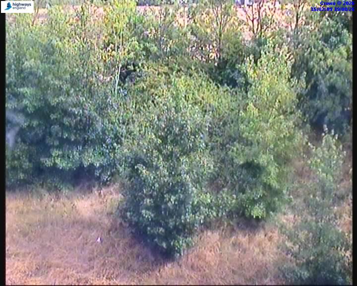 62796-1787151746.jpg