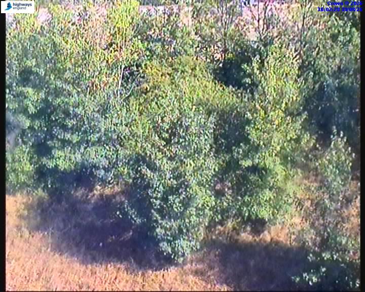 62796-1787155355.jpg