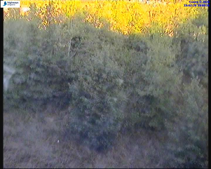 62796-1787166149.jpg