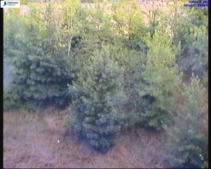62796-1787169753.jpg