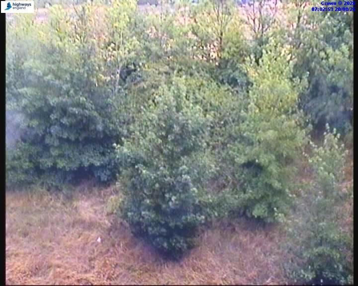 62796-1787209389.jpg