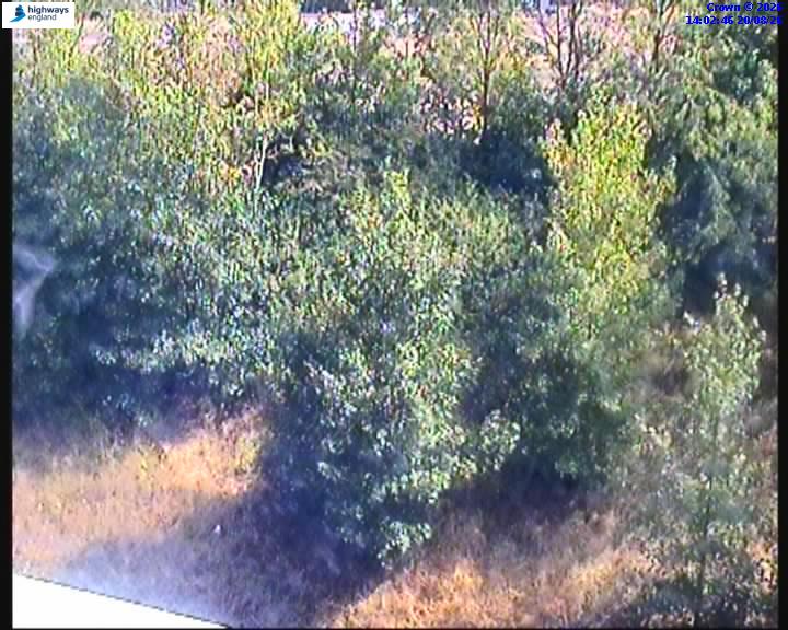 62796-1787234579.jpg