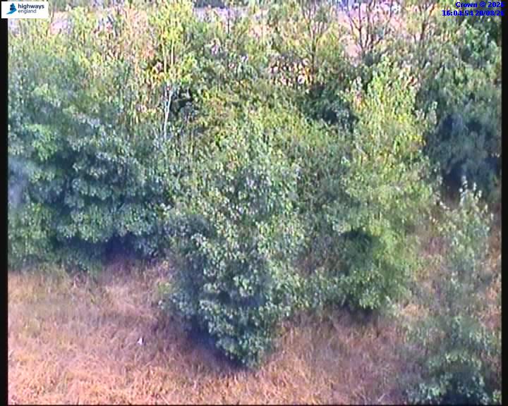 62796-1787241919.jpg