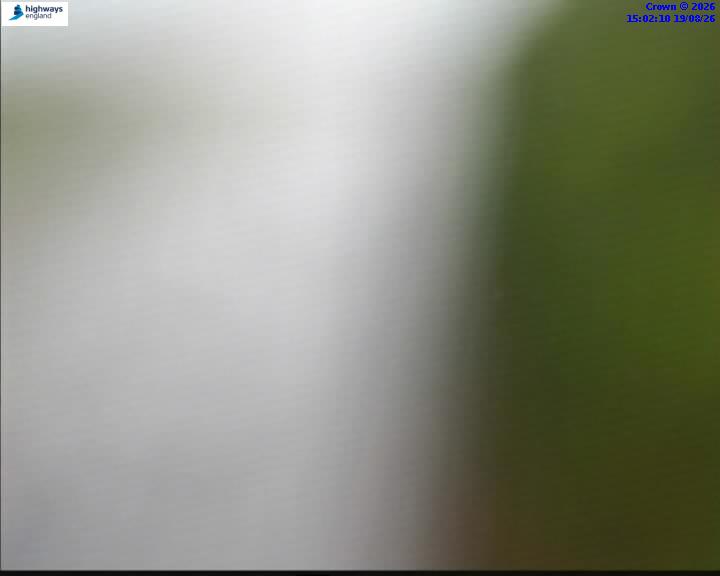 63945-1787151740.jpg