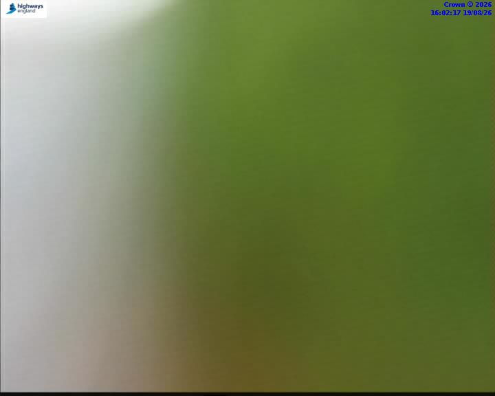 63945-1787155349.jpg
