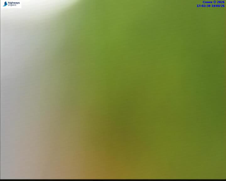 63945-1787158951.jpg