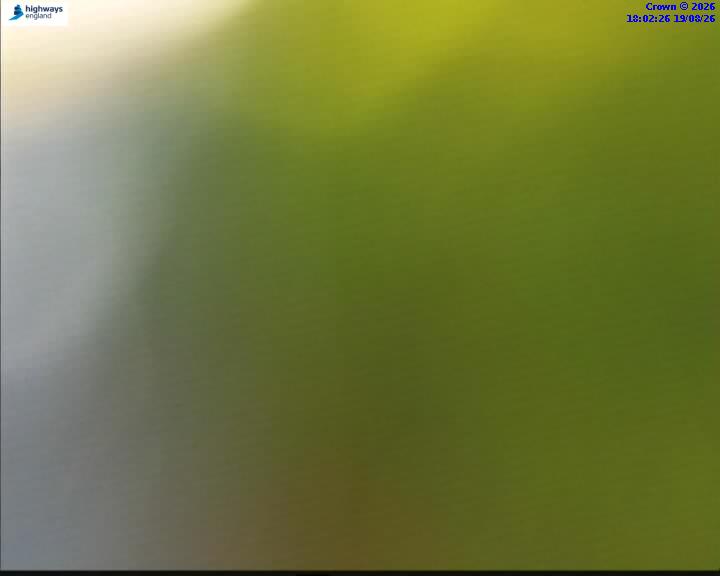 63945-1787162548.jpg
