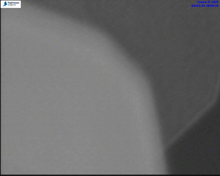 64198-1787198628.jpg