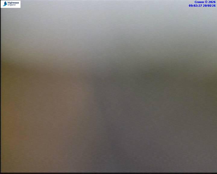 64198-1787216558.jpg