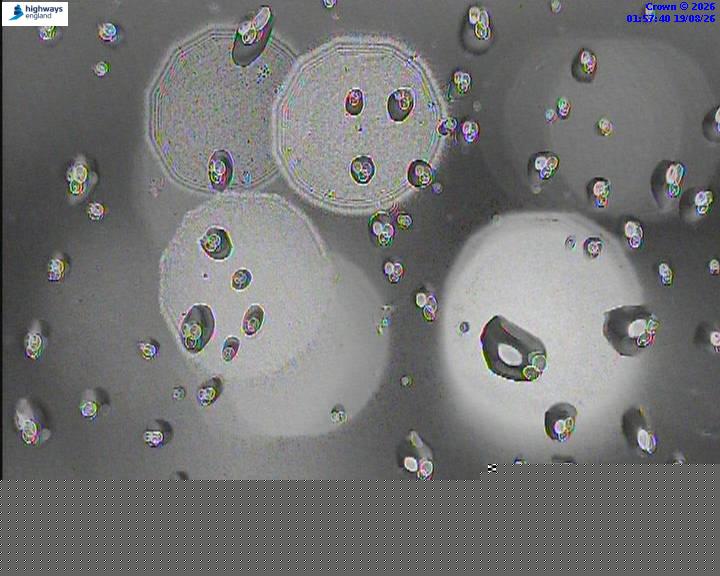 64206-1787104700.jpg