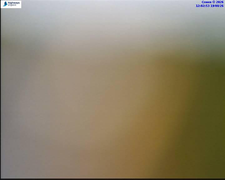 64246-1787140979.jpg