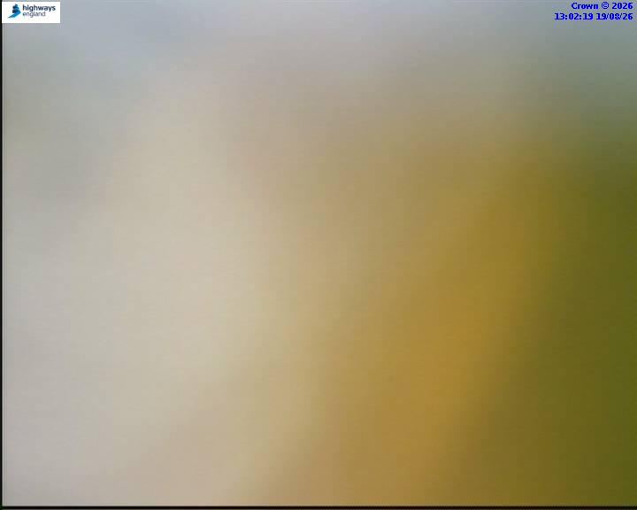 64246-1787144544.jpg
